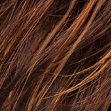 Step | Changes Collection