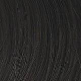 CHAMELEON Hair Topper by Raquel Welch