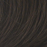 CHAMELEON Hair Topper by Raquel Welch